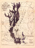 The Great Overflow : Inundated Districts of the Mississippi Valey sic 1874 by Relic Map Company