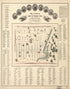 Map and Directory of Camp Patterson Park Baltimore, Maryland One Hundred and Tenth Regiment of New York Volunteers. Col. D. C. Littlejohn, Commanding 1862 by Relic Map Company