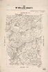 Map of McMullen County 1879 by Relic Map Company