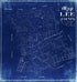 Map of Lee County 1888 by Relic Map Company