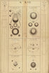 A Synopsis of the Universe, Or, the Visible World Epitomiz&