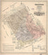 Map of Comanche County : State of Texas Showing the Extent of All Public Surveys, Land Grants and All Other Official Information, Compiled from the Records of the General Land Office at Austin, Showing Also the Geology, Agriculture and Other Important... by Relic Map Company