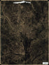 Photographic Negative Transparency of U.S. Geological Survey Topographic Map of the District of Columbia and Adjacent Suburban Areas 1915 by Relic Map Company