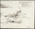 Sketch of the Surprise of the French Troups Under General Girard by Lt. Gen. Hill of the Allied Army Near Arrojo De Los Molinos, 28th Obr. 1811 by Relic Map Company