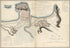 Plan of the Siege of St. Sebastian In the Year 1813 by Relic Map Company