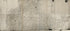 Amelia County 1860 by Relic Map Company