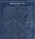 Dallas County, Texas. (Dallas County, Texas) 1884 by Relic Map Company