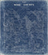 Map of Wise County in 1895 by Relic Map Company