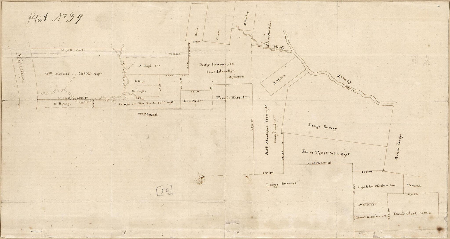 This old map of Cadastral Map of a Portion of Feliciana District, Spanish West Florida, Between the Mississippi River and the Comite River from 1805 was created by Vicente Sebastián Pintado in 1805