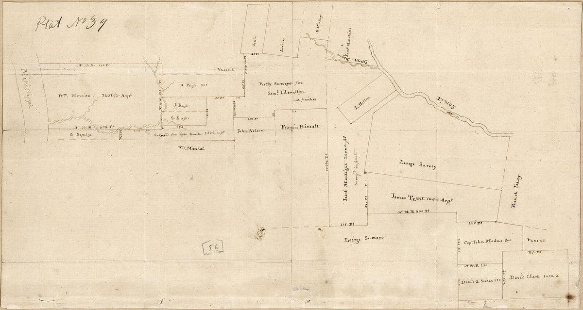 Cadastral Map of a Portion of Feliciana District, Spanish West Florida, Between the Mississippi River and the Comite River 1805 by Relic Map Company