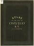 City Atlas of Oswego, New York : from Official Records, Private Plans and Actual Surveys. (Atlas of the City of Oswego N.Y.) 1880 by Relic Map Company