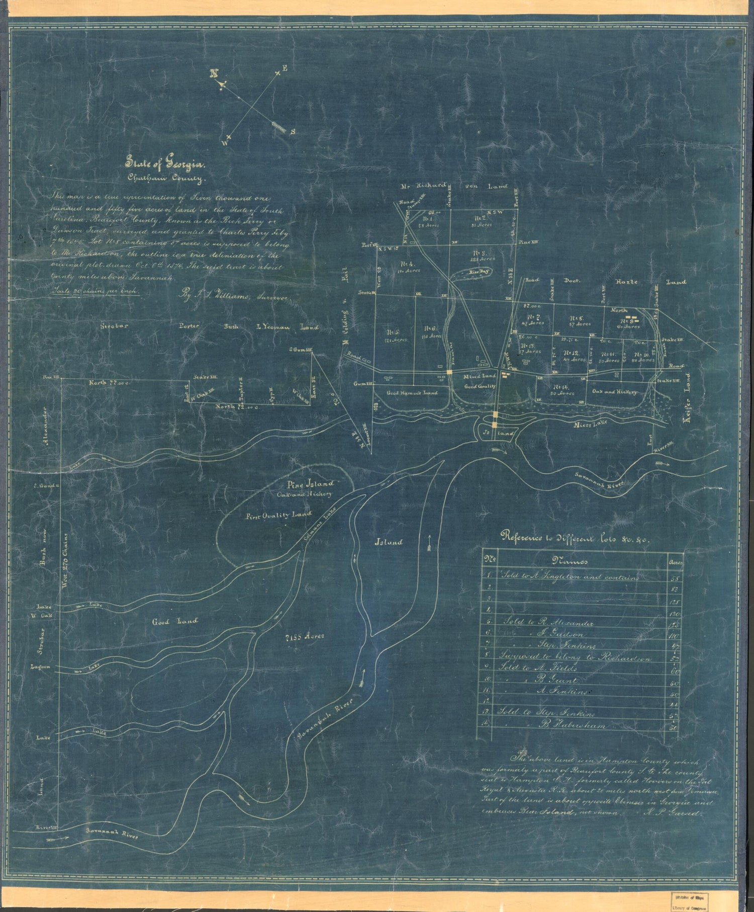 This old map of State of Georgia, Chatham County from 1874 was created by F. T. Williams in 1874