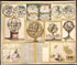 Collection of Nine Images Including Astronomical Instruments, Celestial Charts, and a World Map 1769 by Relic Map Company