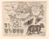 A Plan of the Harbour of Chebucto and Town of Halifax 1750 by Relic Map Company