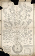 New York and Erie Railroad Diagram Representing a Plan of Organization : Exhibiting the Division of Academic Duties and Showing the Number and Class of Employés Engaged In Each Department : from the Returns of September 1855 by Relic Map Company