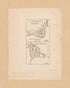 En Amerique Quebec ; Louisbourg in 1755 by Relic Map Company