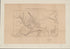 A Map of the Medical Topography of Baltimore, 1851 by Relic Map Company