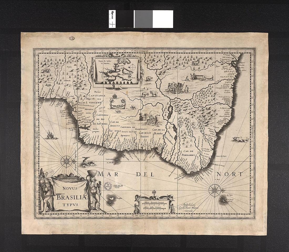 This old map of New Image of Brazil. (Novus Brasiliae Typus) from 1631 was created by Willem Janszoon Blaeu in 1631