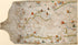 Portolan Chart (Old World) 1505 by Relic Map Company