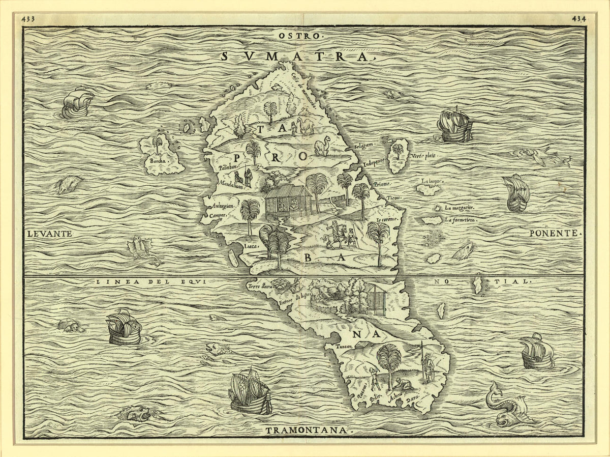 Sumatra 1556 by Relic Map Company