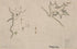 Havana. Vera Cruz 1758 by Relic Map Company
