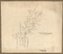 Savannah River & Ogeechee River 1780 by Relic Map Company