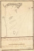 El Guarico, Alias, El Cavo Frances, Es Una De Las Colonias Y Puertos Qe. Poseen Los Franceses En La Parte Occidental De La Ysla Española Una De La Caribes U De Varlovento En La América, Situada En 19 Gs. 44 Ms. De Lattd. Septentrional Y En 303 Gs. 5... by Relic Map Company