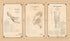 Artillery School Copies of Lieut. Hobbs&