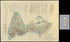 Suruga No Kuni Zenzu. (駿河國全圖) 1828 by Relic Map Company