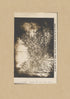 An Ancient Map of Panama, Showing Territorial Divisions and Old Cities 1631 by Relic Map Company