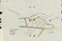 Map of the Carlisle Barracks, Carlisle, Pennsylvania 1848 by Relic Map Company