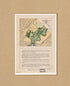 Preliminary Plan for the National Botanical Garden and Arboretum, Washington, D.C. : As Recommended by the National Commission of Fine Arts in 1921 by Relic Map Company