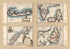 Maps of Bermuda, Iceland, Jan Mayen Island, and Newfoundland 1692 by Relic Map Company