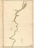 Map Showing Coast of Argentina from 44⁰05ʹS to 49⁰52ʹS : Union Point to Port San Julián 1700 by Relic Map Company