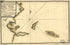 Descripción De La Bahía De Sn. Gregorio, Situada En Latd. De 45 Grs. 2 Ms. Sur Y En Longd. De 310 Gs. 55 Ms., Merd. De Thenerife 1700 by Relic Map Company