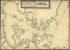Plano Del Puerto Del Rio Janeiro Situado En La Latitud S. De 22⁰54ʹ10ʺ Longitud Occidental De Cádiz 36⁰31ʹ 1780 by Relic Map Company