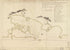 Plano Del Puerto De Sn. Juan De Puerto Rico 1780 by Relic Map Company