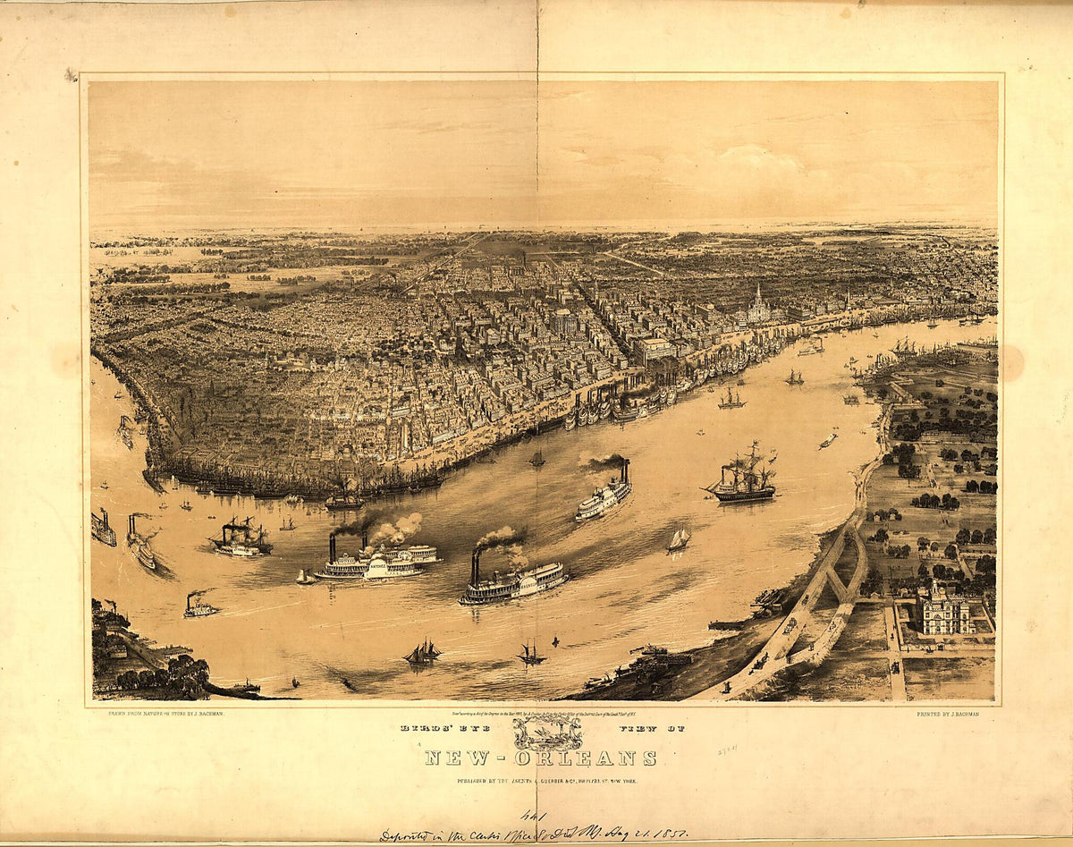 Orleans / Drawn from Nature On Stone by J. Bachman i.e., Bachmann 1851 by Relic Map Company