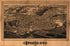 Ithaca, New York 1882 by Relic Map Company