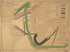 Carte Figurative Et Approximative Représentant Pour L&