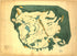 Map of Nisqually Plains 1850 by Relic Map Company