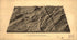 Relief Map of the Battle Field of Gettysburg. Looking South. Showing the Town, Fields, Farm Buildings, Forests, Streams, Roads and Lanes As They Were at the Time of the Battle 1886 by Relic Map Company