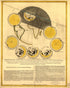 Konstige Vertoning Van De Grote En Merk-waardige Zons-verduistering 1748 by Relic Map Company