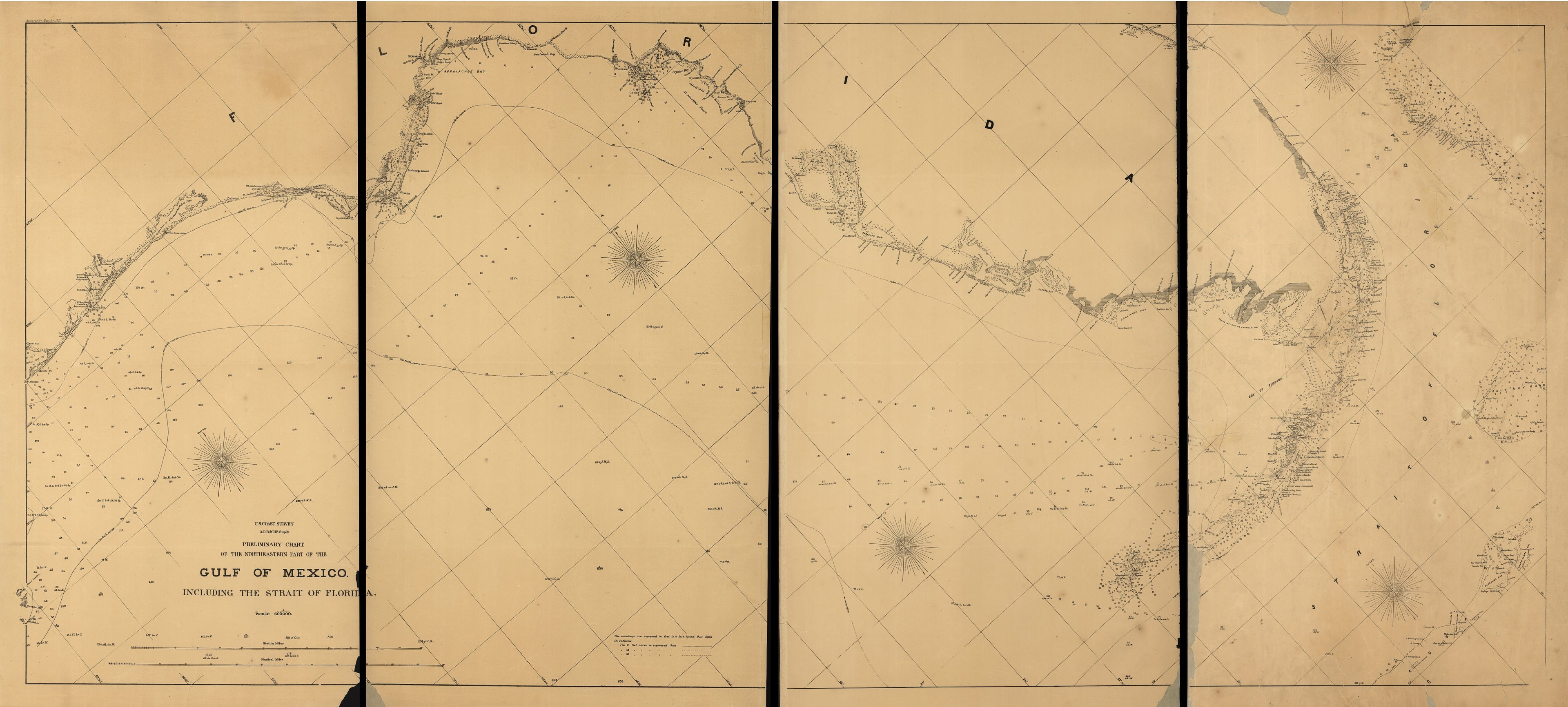 This old map of Preliminary Chart of the Northeastern Part of the Gulf of Mexico, Including the Strait of Florida. Autographic Transfer from 1861 was created by  United States Coast Survey in 1861