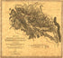 Map of the Battlefield of Perryville, Ky 1877 by Relic Map Company