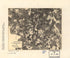 Spotsylvania County, Virginia 1887 by Relic Map Company