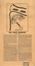 Sea Coast Defences 1861 by Relic Map Company