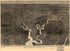 Isometric View of General Grant&
