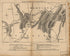 General Hill 1861 by Relic Map Company