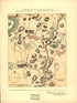 Antietam Sharpsburg and Vicinity. Constructed and Engraved to Illustrate The War With the South 1864 by Relic Map Company